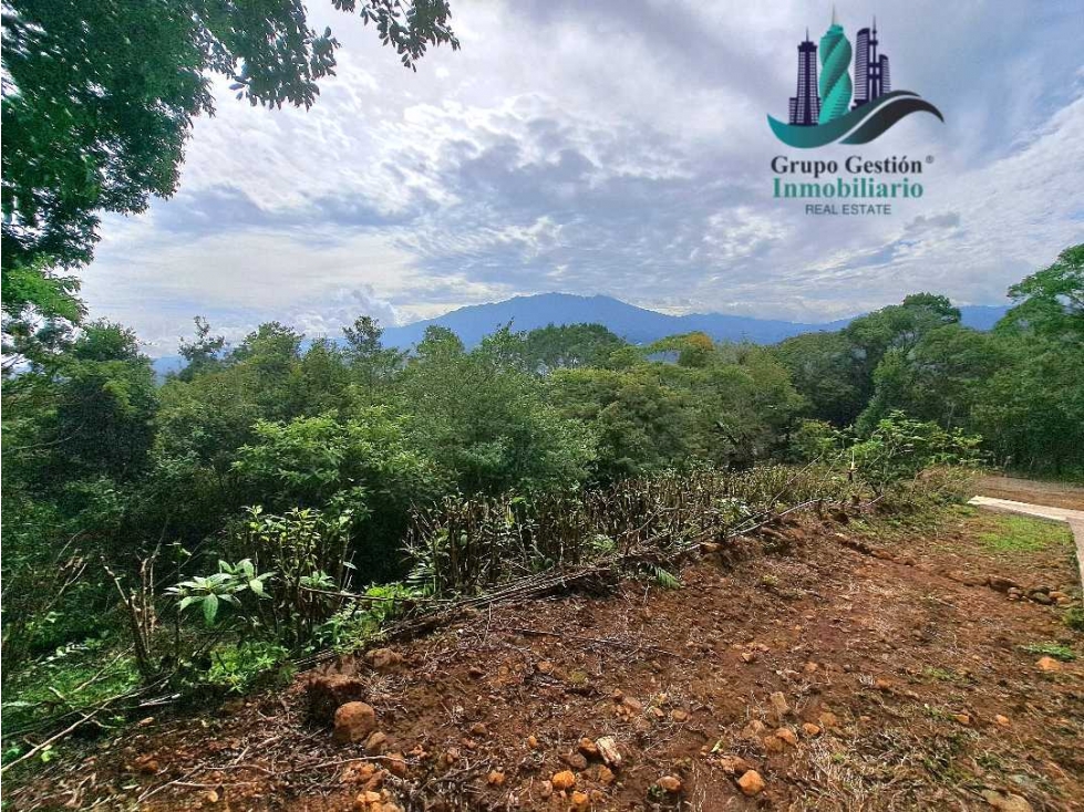 VENDO UNA HECTAREA CON.VISTAS Y ALTITUD BOQUETE — foto 5