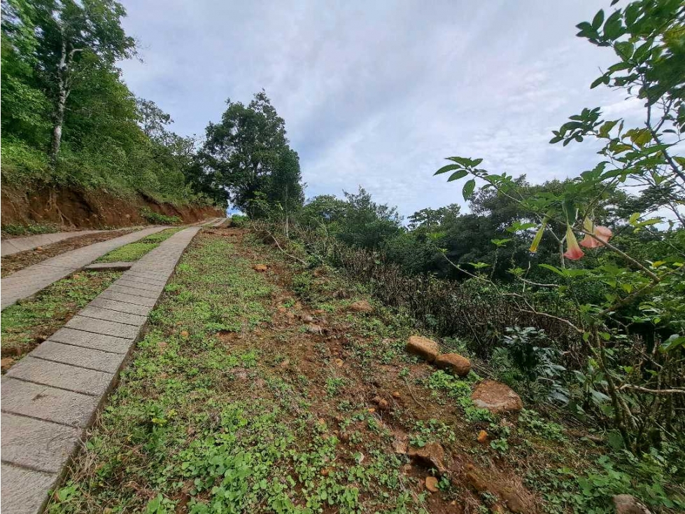 VENDO UNA HECTAREA CON.VISTAS Y ALTITUD BOQUETE — foto 6