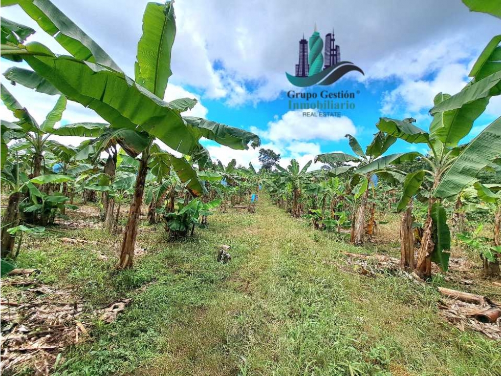 VENDO UNA HECTAREA EN AREA RURAL - 3