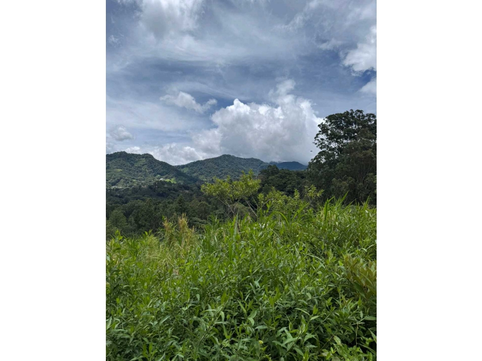 VENDO UNA HECTAREA+ EN JARAMILLO ARRIBA- CENTRO - 6