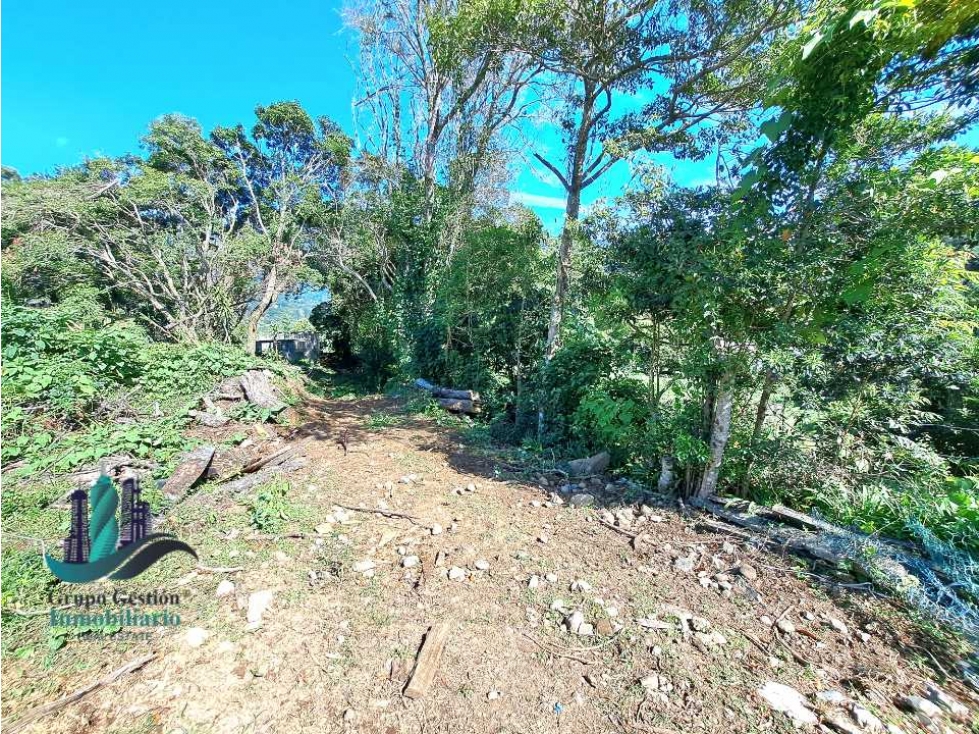 VENDO UNA HECTAREA+ EN JARAMILLO ARRIBA- CENTRO - 3