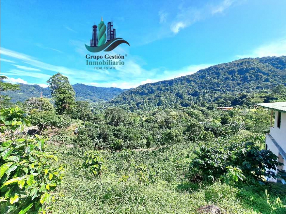 VENDO UNA HECTAREA+ EN JARAMILLO ARRIBA- CENTRO - 1