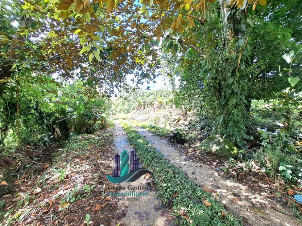 VENDO UNA HECTAREA PARA SIEMBROS - 4