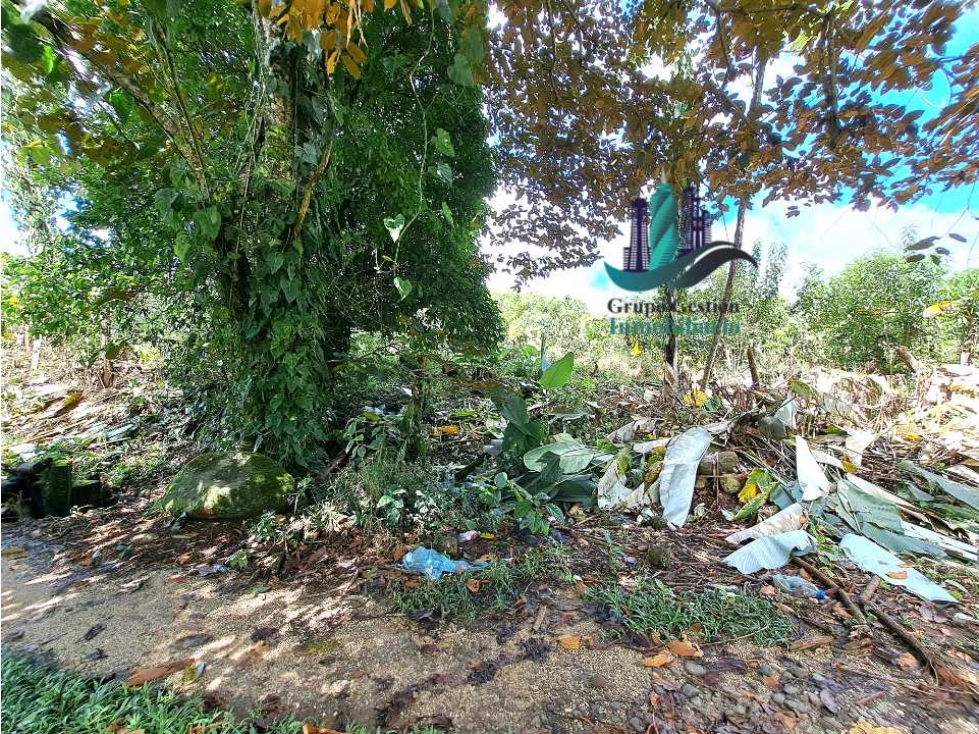 VENDO UNA HECTAREA PARA SIEMBROS - 5