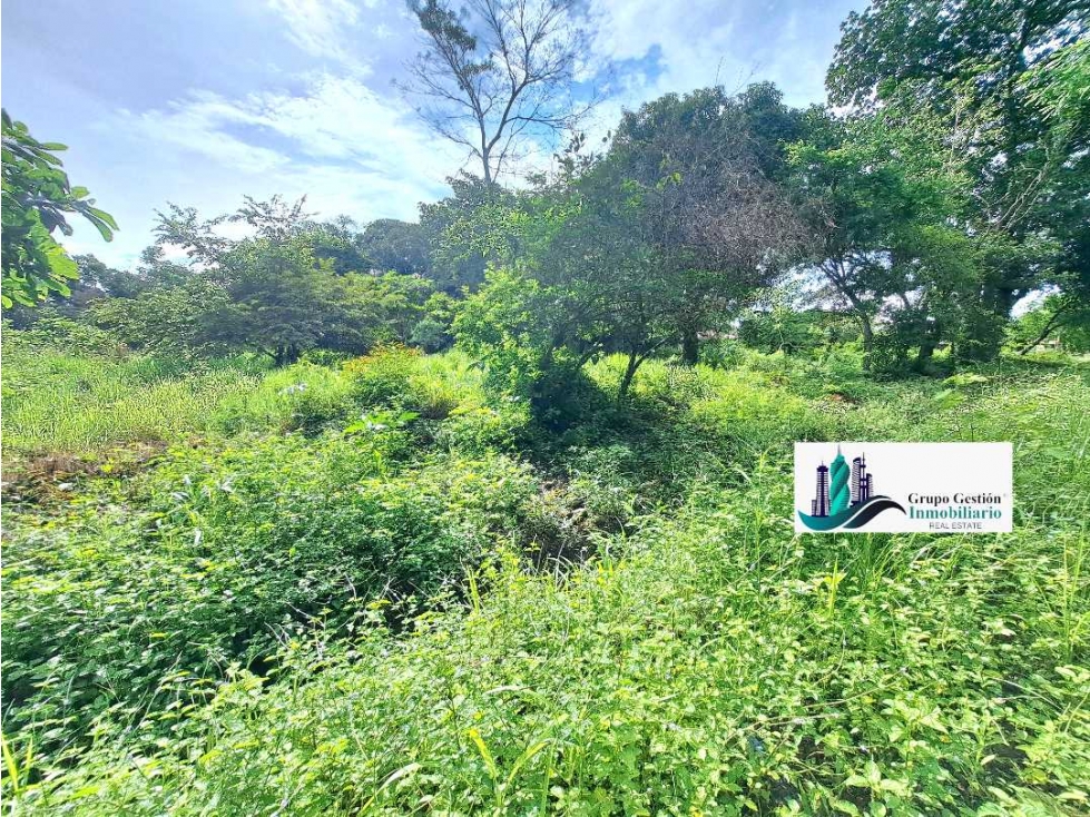 VENDO UNA HECTAREA ESQUINA EL FRANCES — foto 5