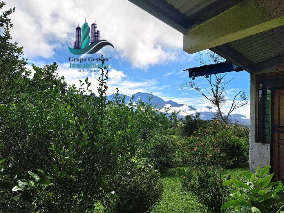 VENDO.CASA CON.VISTAS AL VOLCAN BARU Y 3000MTS DE TERRENO. — foto 5