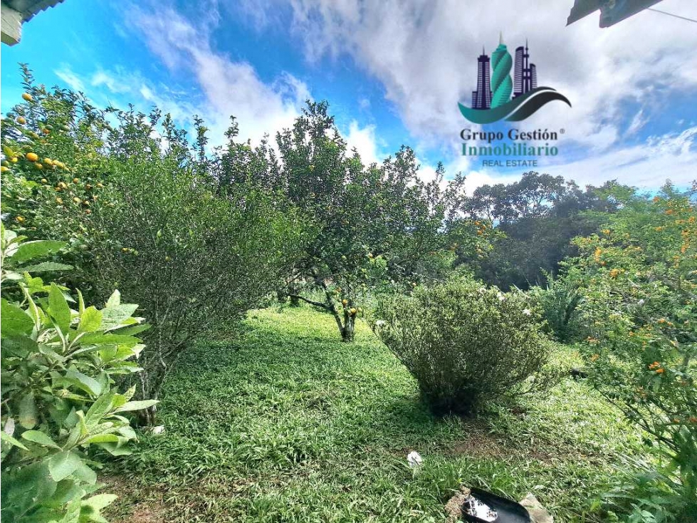 VENDO.CASA CON.VISTAS AL VOLCAN BARU Y 3000MTS DE TERRENO. — foto 6