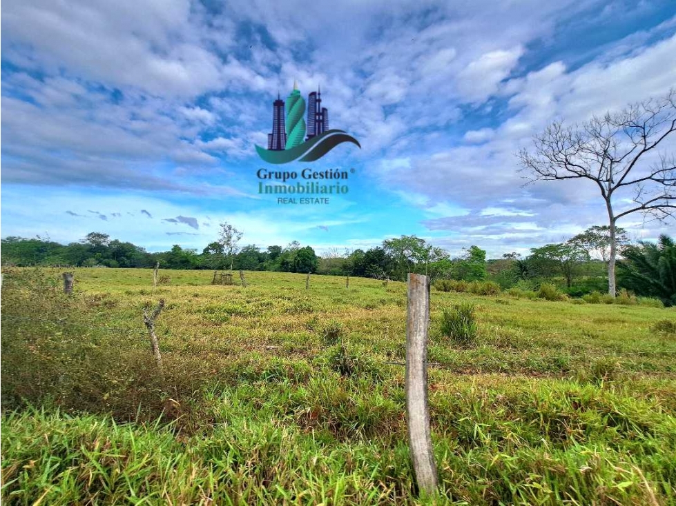 VENDO.FINCA 47HA CON.AGUA Y HUMEDALES.JUAY - 2