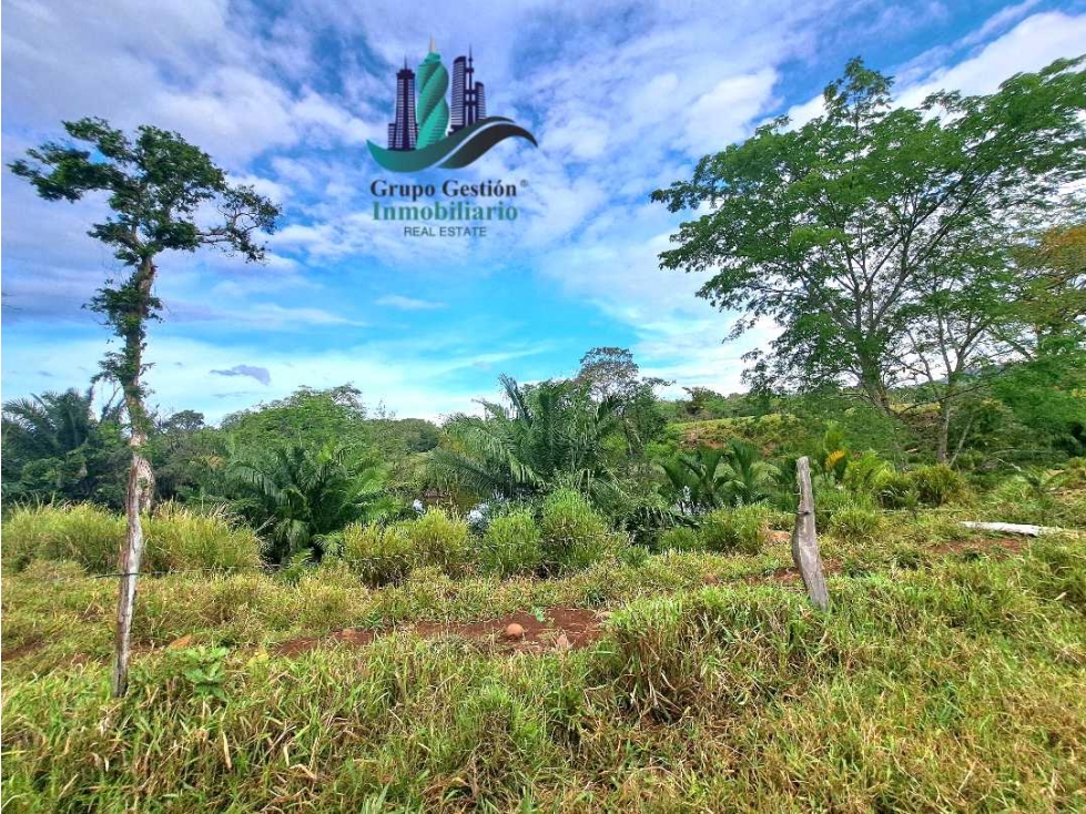 VENDO.FINCA 47HA CON.AGUA Y HUMEDALES.JUAY - 4