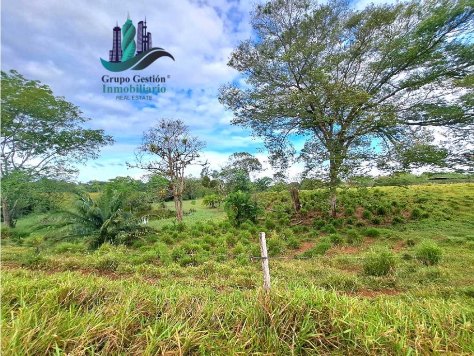 VENDO.FINCA 47HA CON.AGUA Y HUMEDALES.JUAY - 5