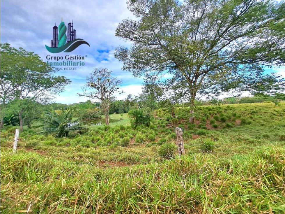 VENDO.FINCA 47HA CON.AGUA Y HUMEDALES.JUAY - 6