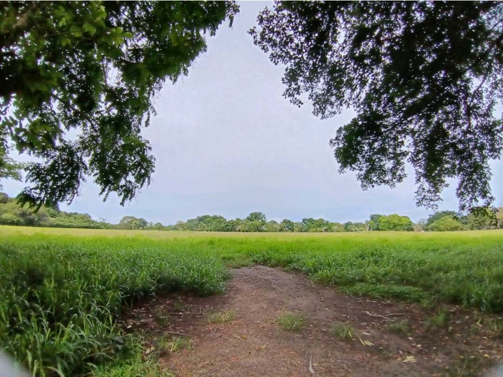VENDO.FINCA 50Hectareas con Agua viva Bugaba - 1