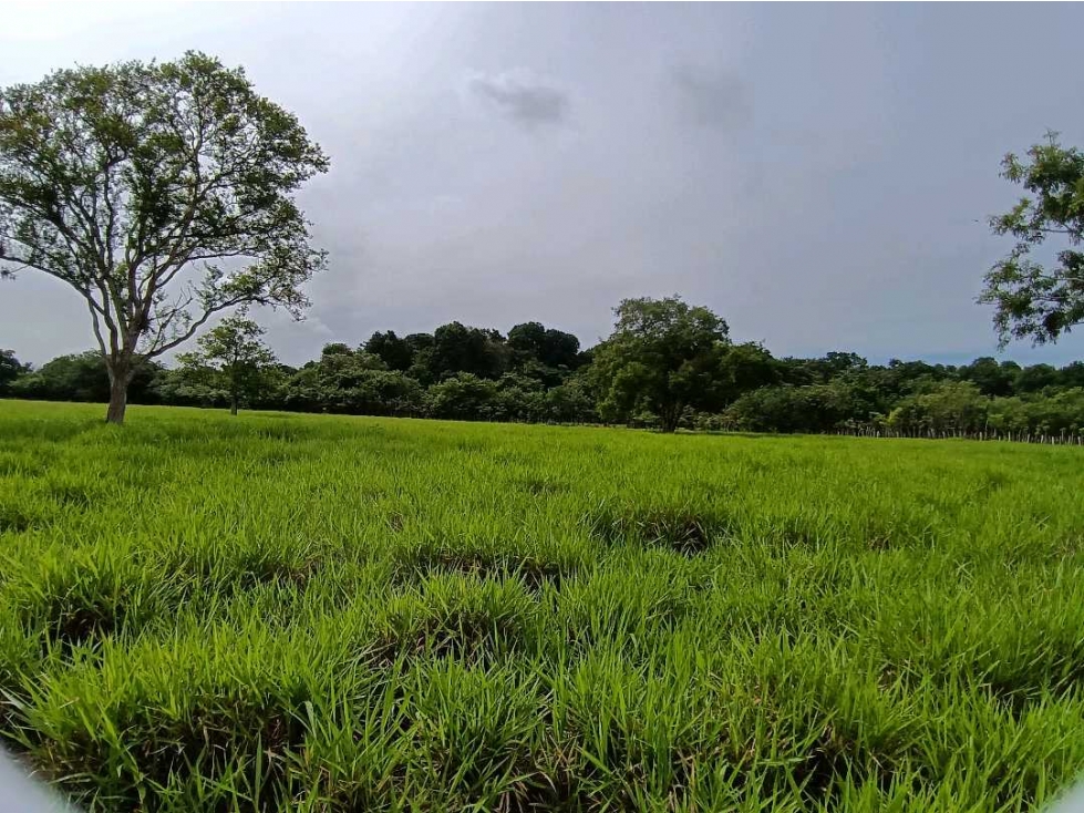 VENDO.FINCA 50Hectareas con Agua viva Bugaba - 3