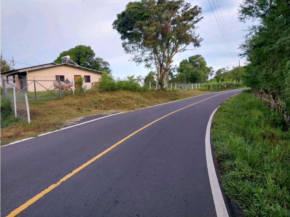 VENDO.FINCA DE 10HECTAREAS CON.CASA VIA CAIZAN - 2