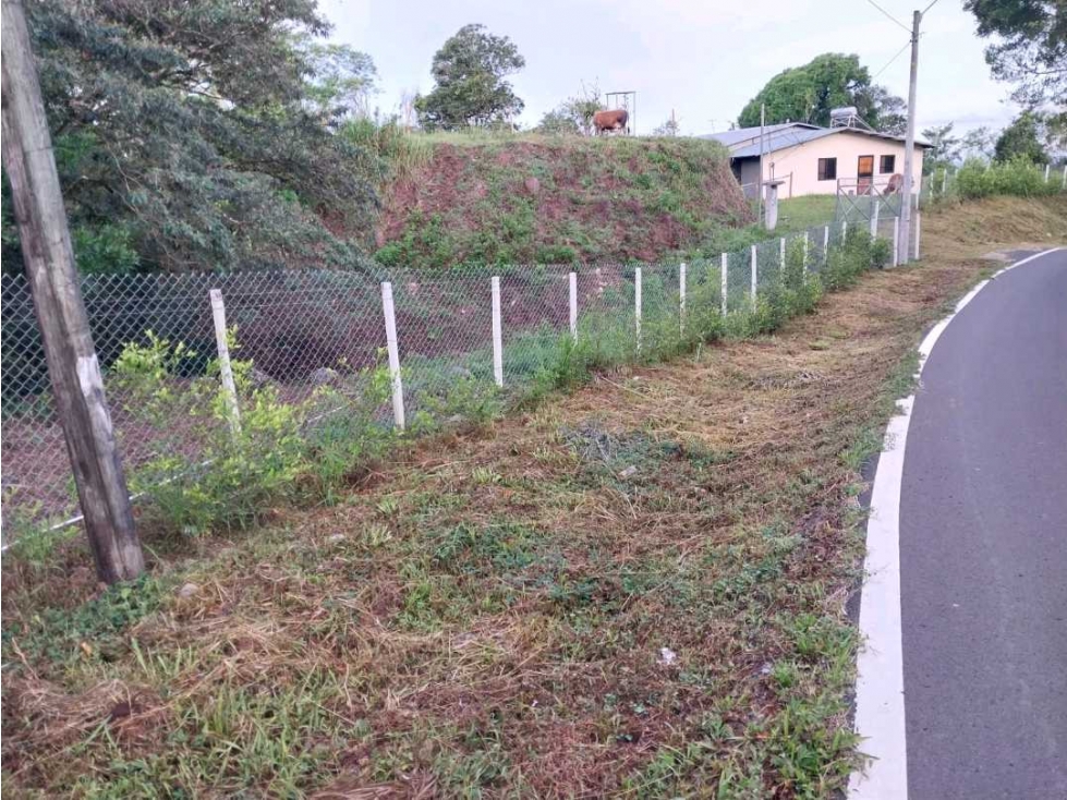 VENDO.FINCA DE 10HECTAREAS CON.CASA VIA CAIZAN - 3
