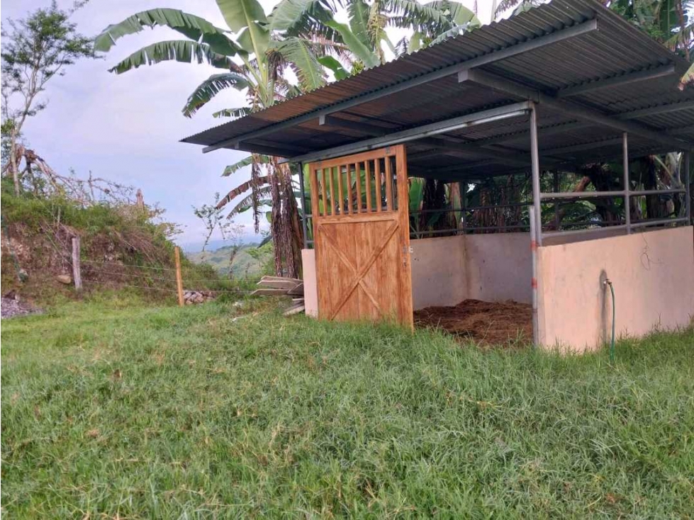 VENDO.FINCA DE 10HECTAREAS CON.CASA VIA CAIZAN - 5