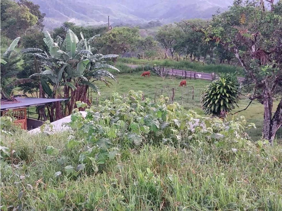 VENDO.FINCA DE 10HECTAREAS CON.CASA VIA CAIZAN - 4