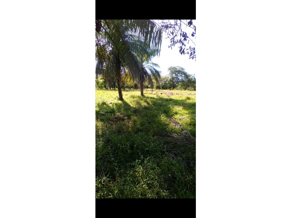 VENDO.FINCA DE. 1 HAS EN.GUAYABAL CHIRIQUÍ - 2