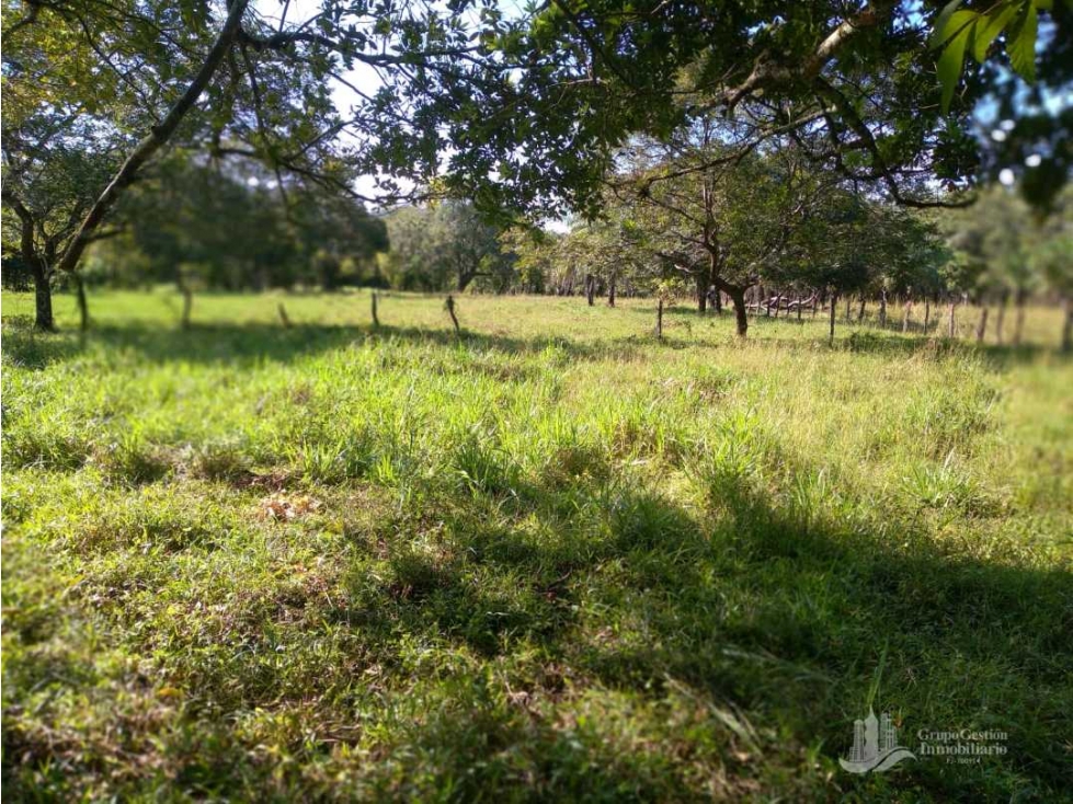 VENDO.FINCA DE. 1 HAS EN.GUAYABAL CHIRIQUÍ - 3