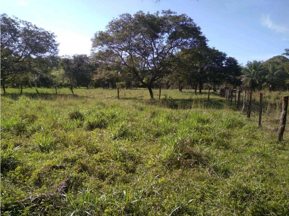 VENDO.FINCA DE. 1 HAS EN.GUAYABAL CHIRIQUÍ - 4