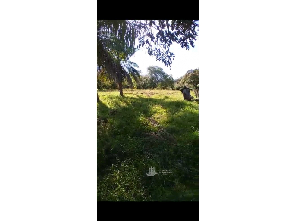 VENDO.FINCA DE. 1 HAS EN.GUAYABAL CHIRIQUÍ - 5