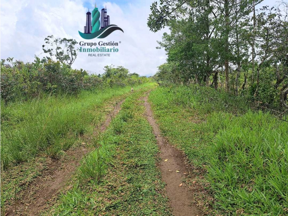 VENDO.FINCA DE 3HECTAREAS+6067Mts POTRERILLOS - 2