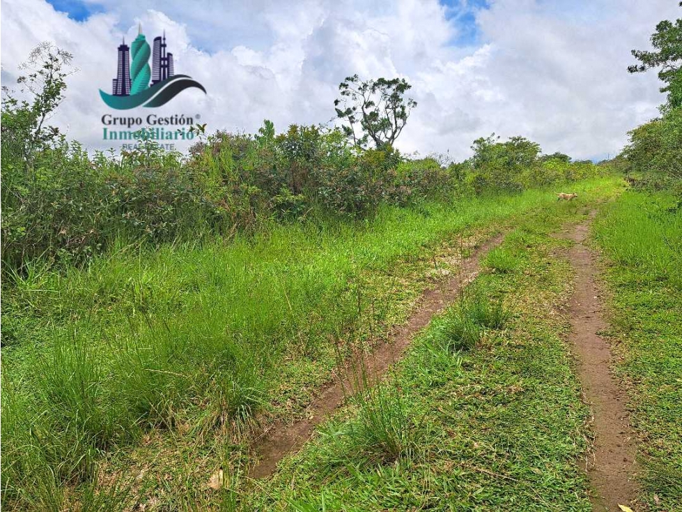 VENDO.FINCA DE 3HECTAREAS+6067Mts POTRERILLOS - 3