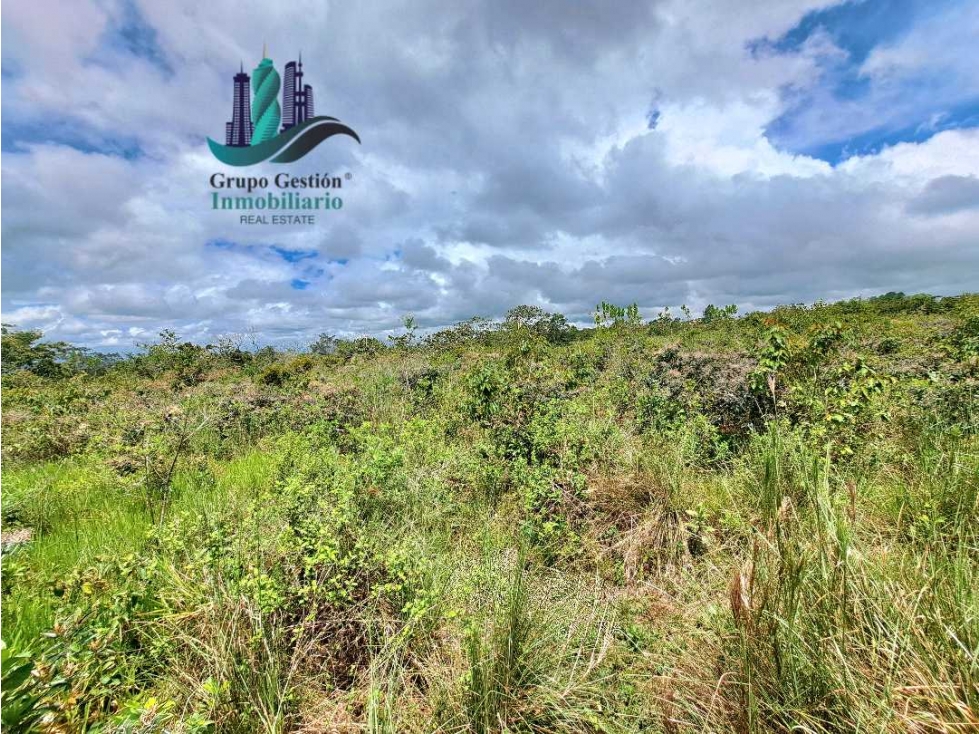 VENDO.FINCA DE 3HECTAREAS+6067Mts POTRERILLOS - 4