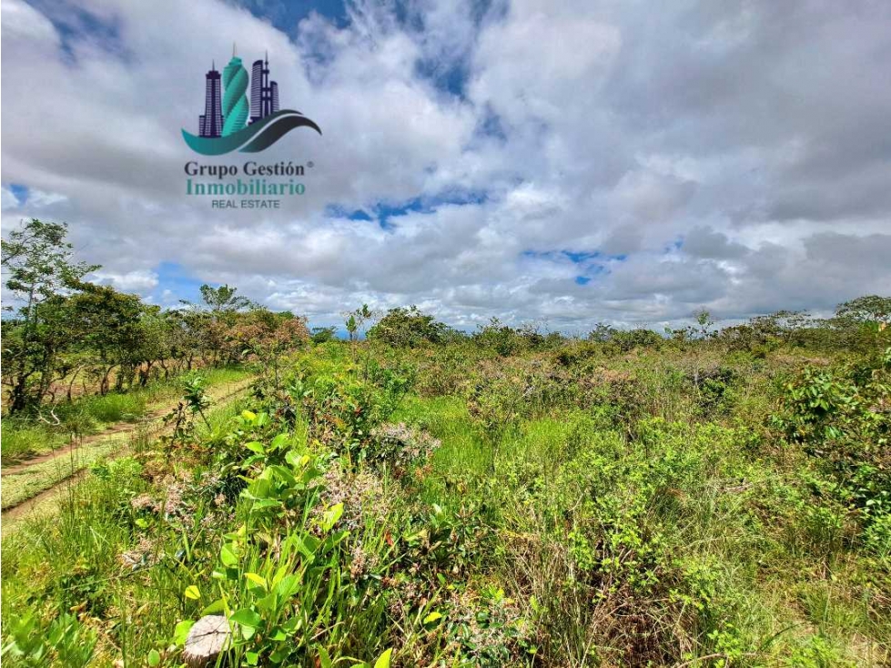 VENDO.FINCA DE 3HECTAREAS+6067Mts POTRERILLOS - 5