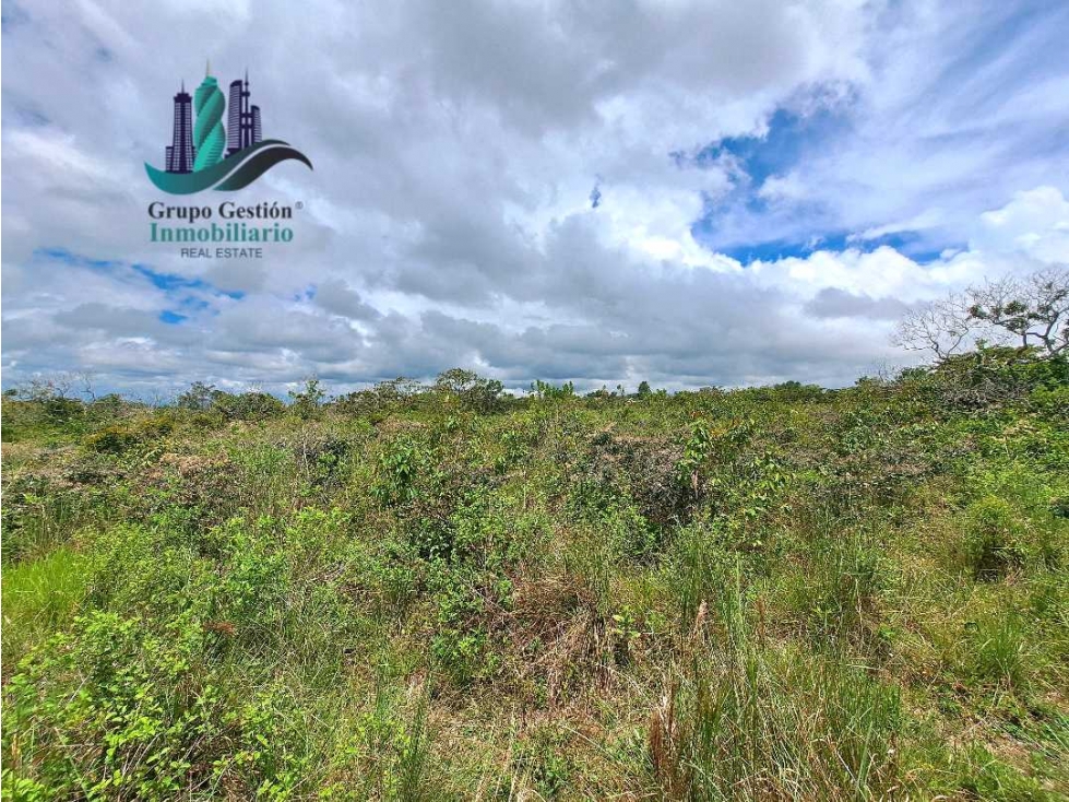 VENDO.FINCA DE 3HECTAREAS+6067Mts POTRERILLOS - 6