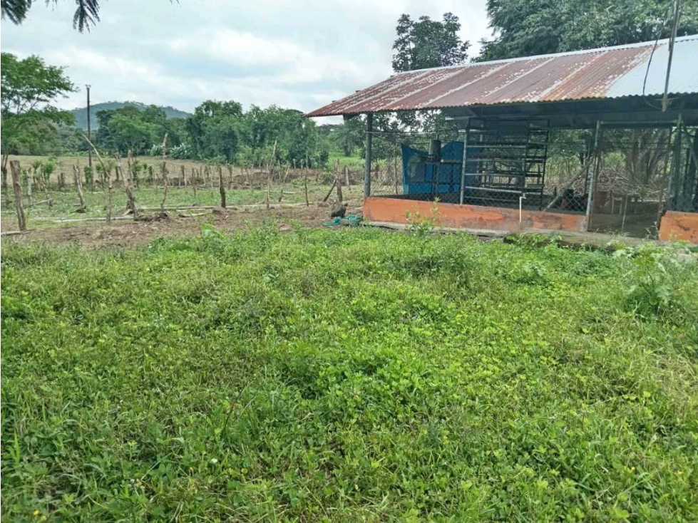 VENDO.FINCA DE 3HECTAREAS EN SAN ANDRES - 1