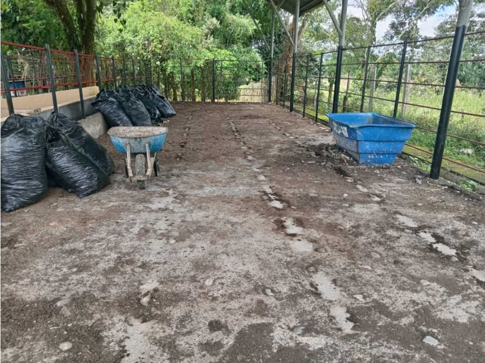 VENDO.FINCA DE 3HECTAREAS EN SAN ANDRES - 3