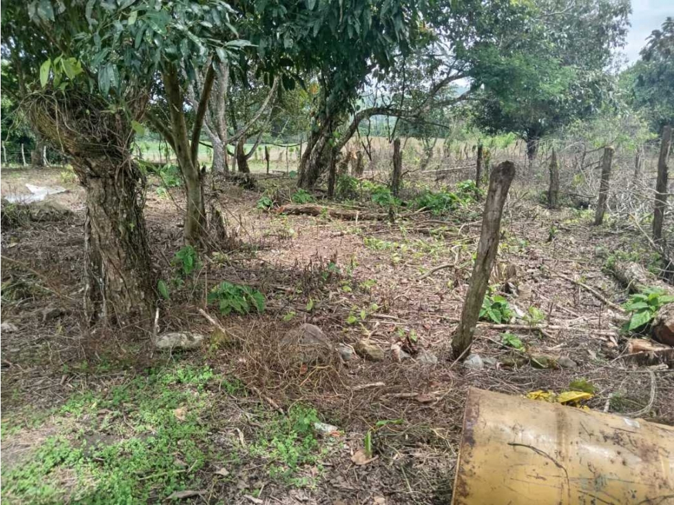 VENDO.FINCA DE 3HECTAREAS EN SAN ANDRES - 4