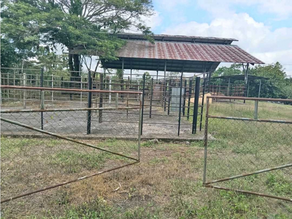 VENDO.FINCA DE 3HECTAREAS EN SAN ANDRES - 5