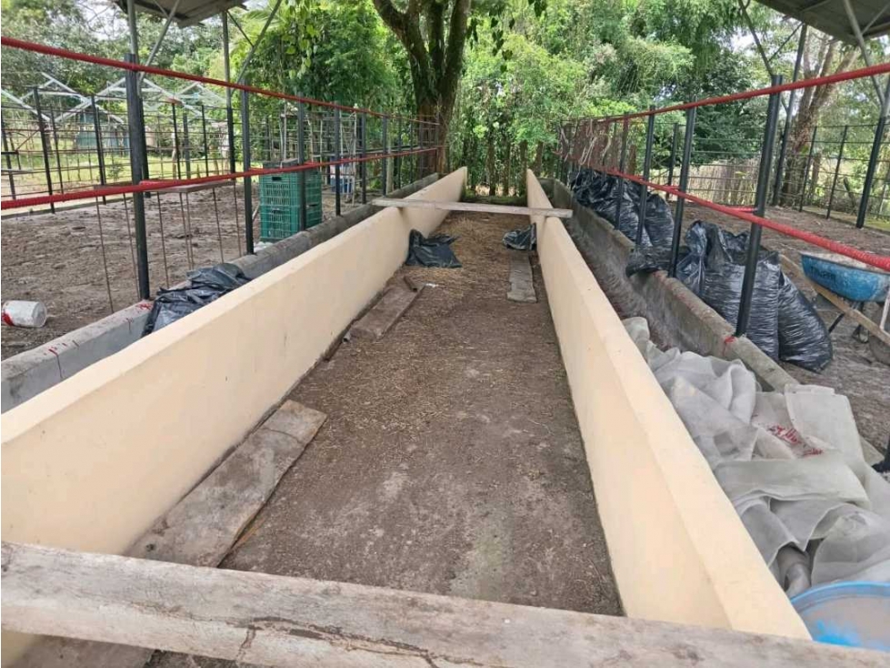 VENDO.FINCA DE 3HECTAREAS EN SAN ANDRES - 6