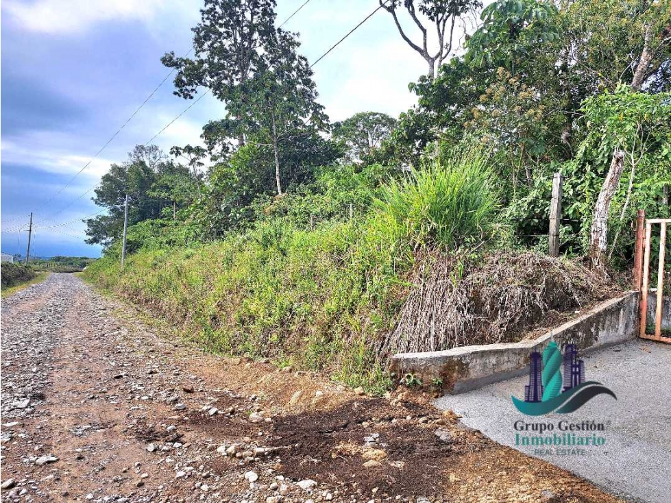 VENDO.FINCA DE 4.5 HECTAREAS BOSQUE CON.RIO - 3