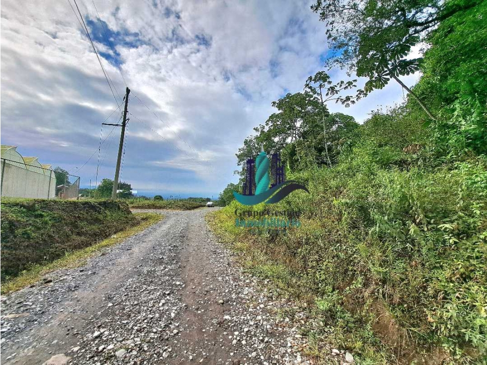 VENDO.FINCA DE 4.5 HECTAREAS BOSQUE CON.RIO - 5