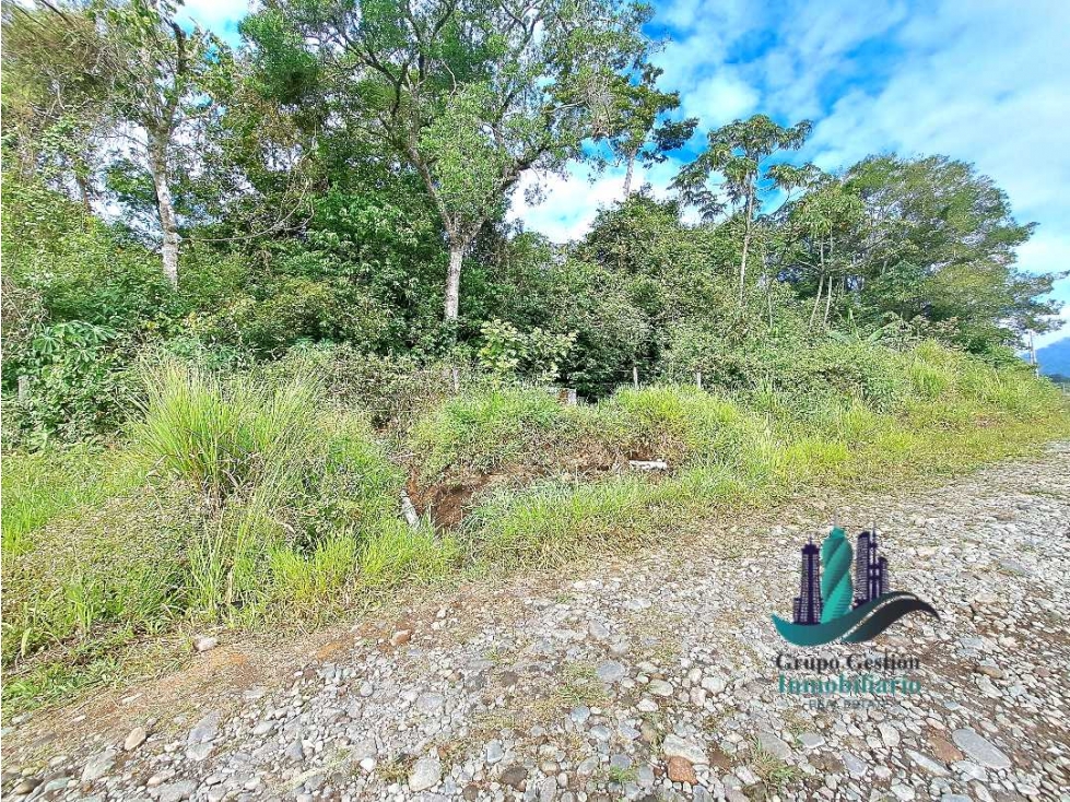VENDO.FINCA DE 4.5 HECTAREAS BOSQUE CON.RIO - 6