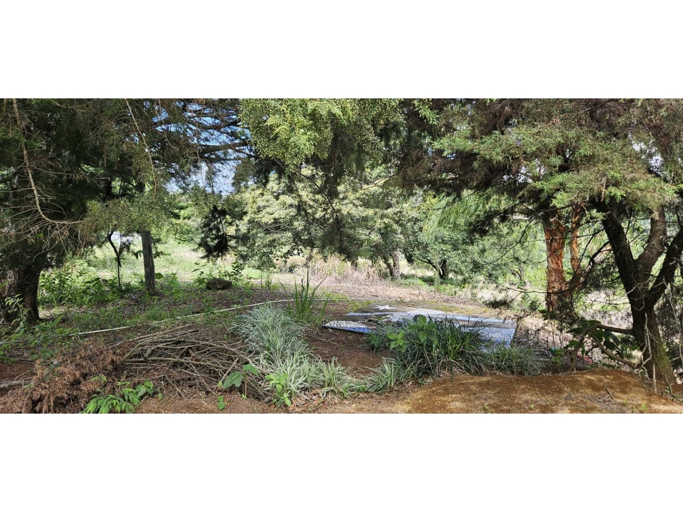 VENDO.FINCA EN JARAMILLO.7 HAS - 2