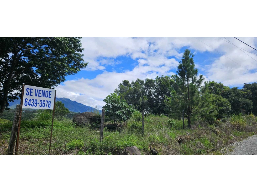 VENDO.FINCA EN JARAMILLO.7 HAS - 4