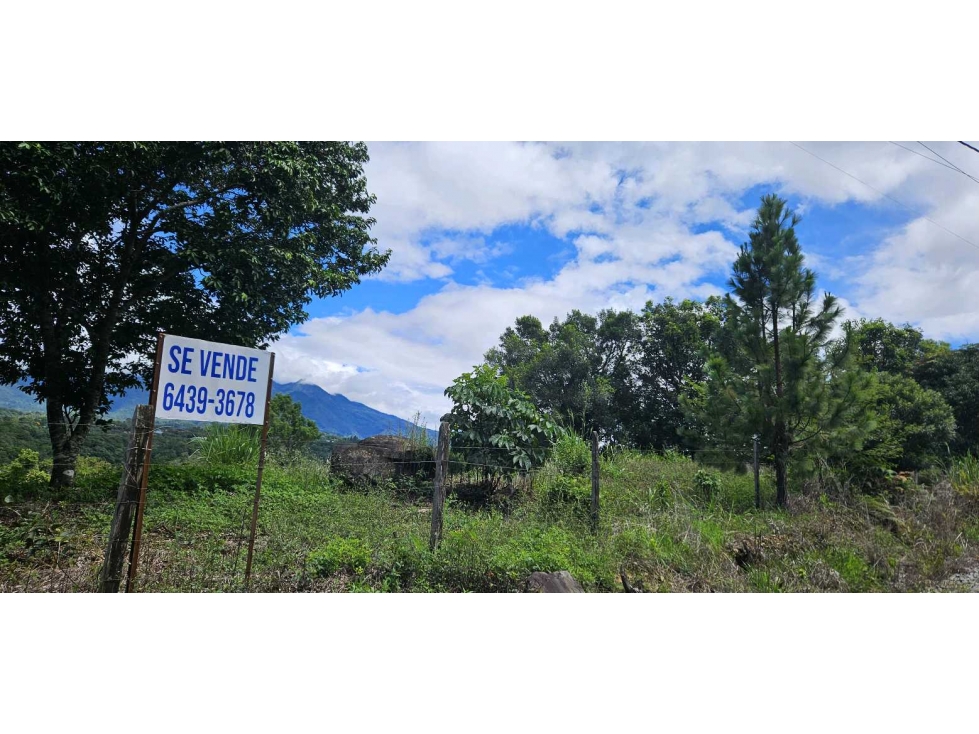 VENDO.FINCA EN JARAMILLO.7 HAS - 5