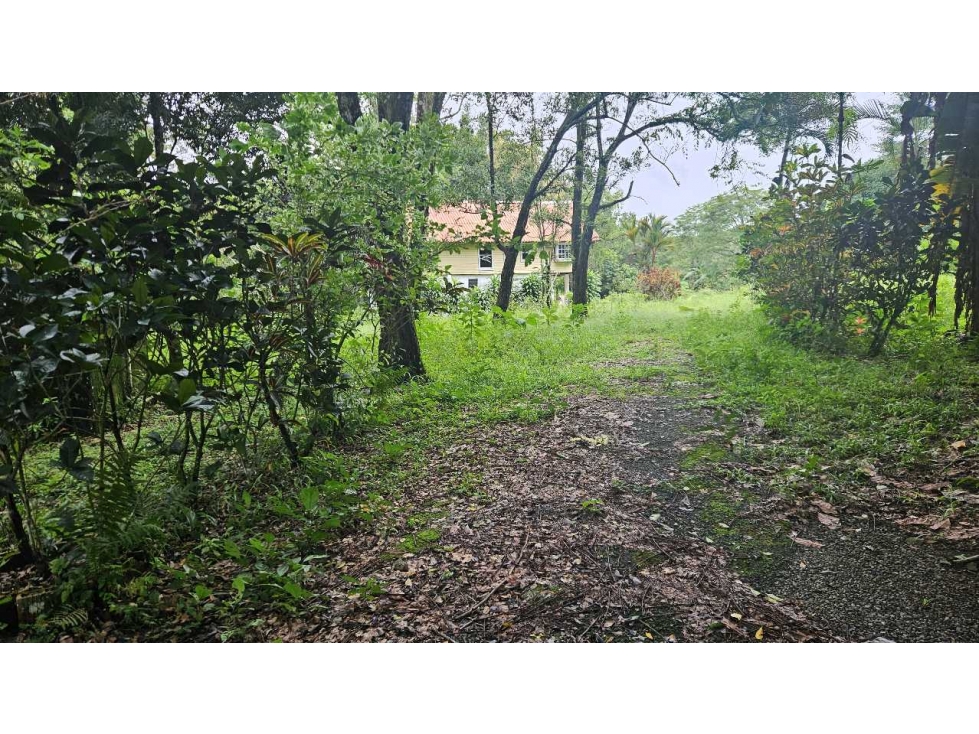 VENDO.LOTE 2000 M2 EN.PALMIRA BOQUETE - 4