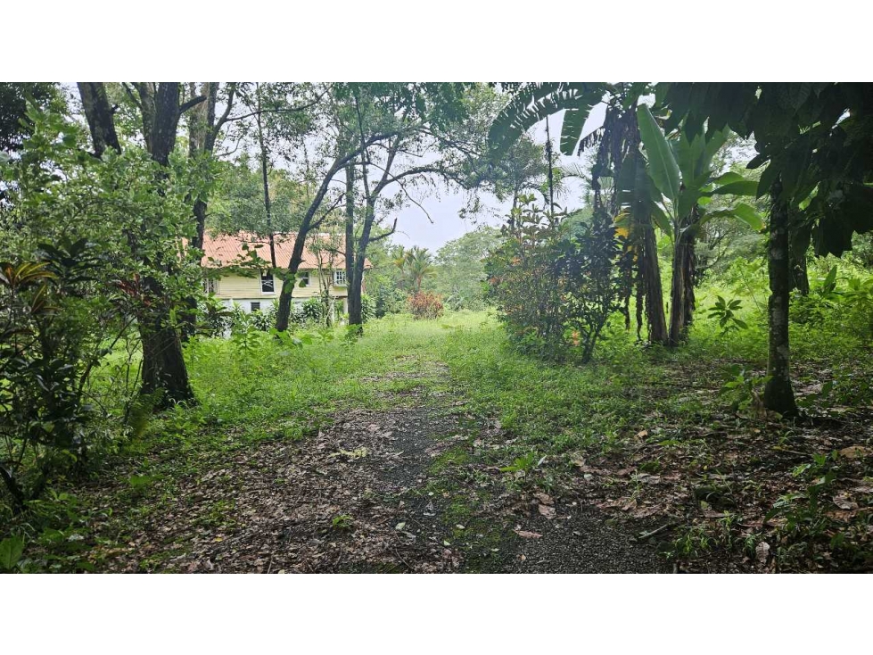 VENDO.LOTE 2000 M2 EN.PALMIRA BOQUETE - 5