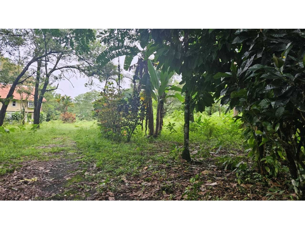 VENDO.LOTE 2000 M2 EN.PALMIRA BOQUETE - 6