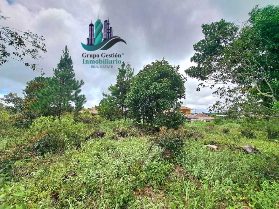 VENDO.LOTE DE 1450mts las.Trancas — foto 3