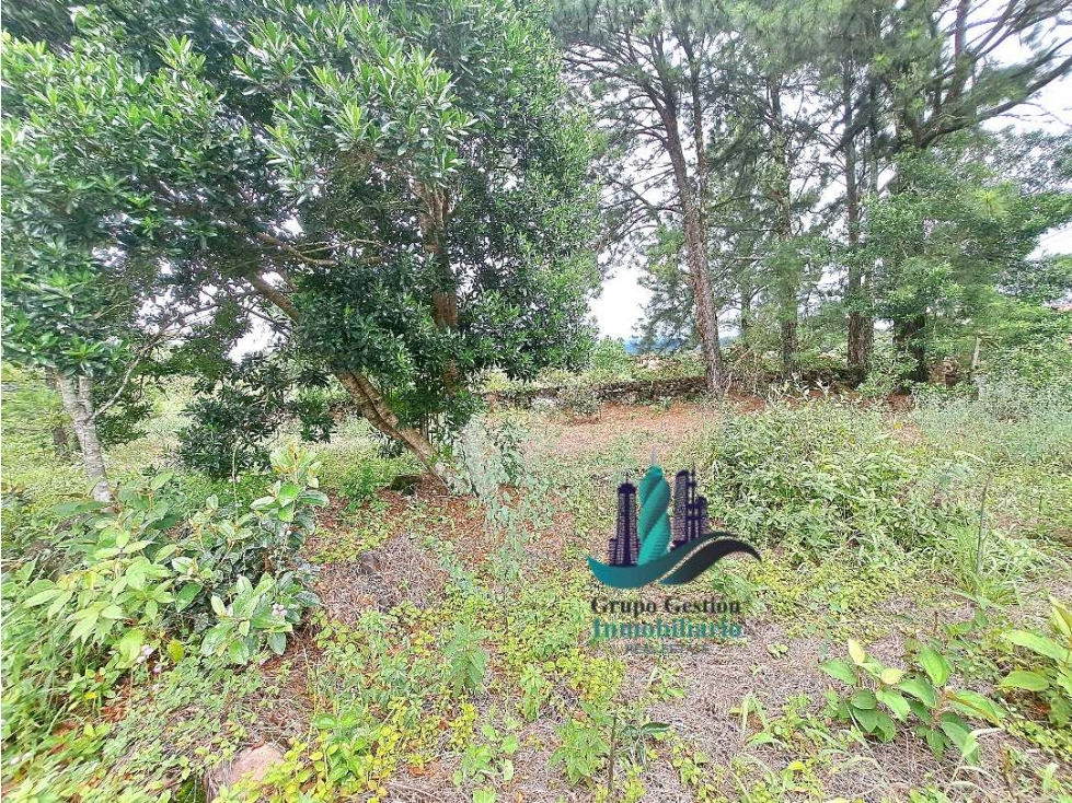 VENDO.LOTE DE 1450mts las.Trancas — foto 4