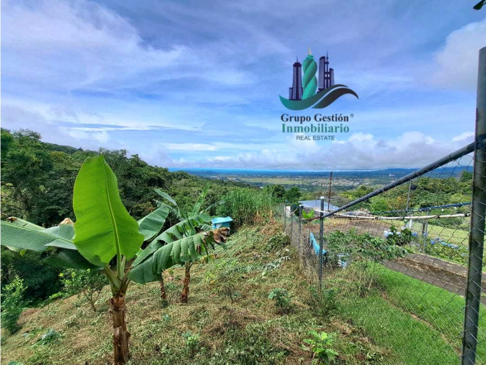 VENDO.LOTE DE 1628mts Jaramillo.Arriba — foto 2