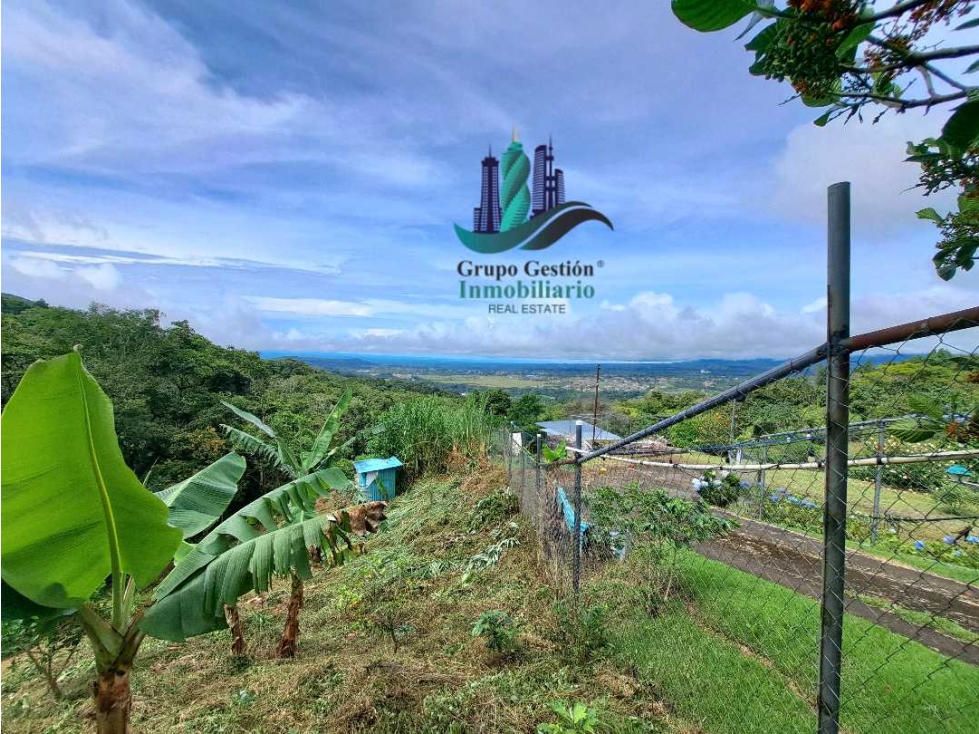 VENDO.LOTE DE 1628mts Jaramillo.Arriba — foto 3