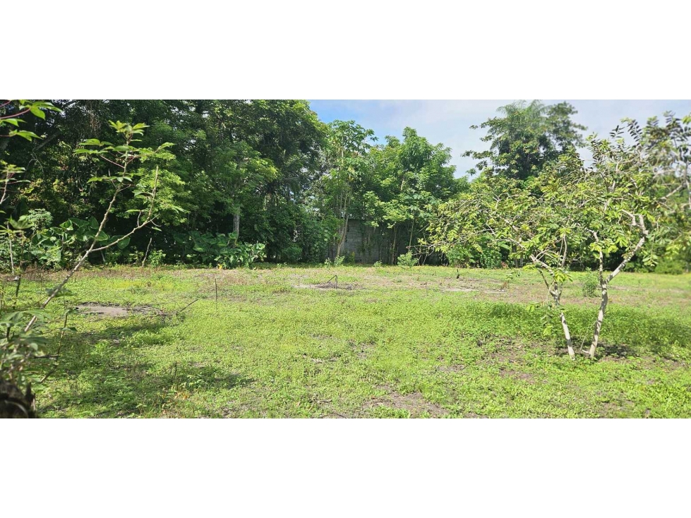 VENDO.LOTE DE 2041 M EN ALANJE - 2