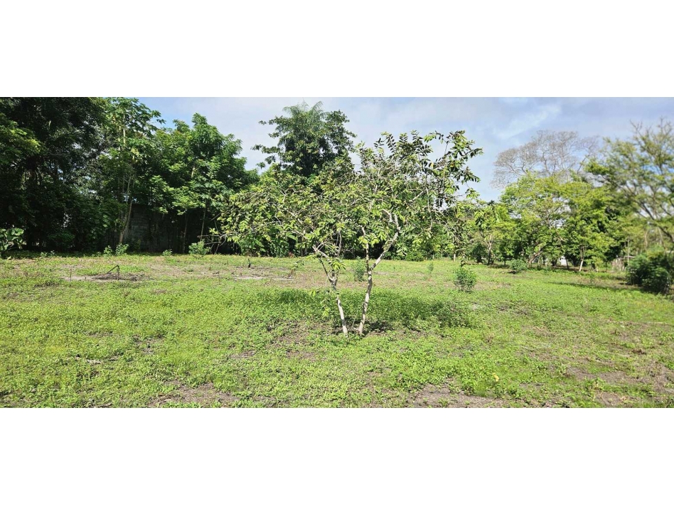VENDO.LOTE DE 2041 M EN ALANJE - 3